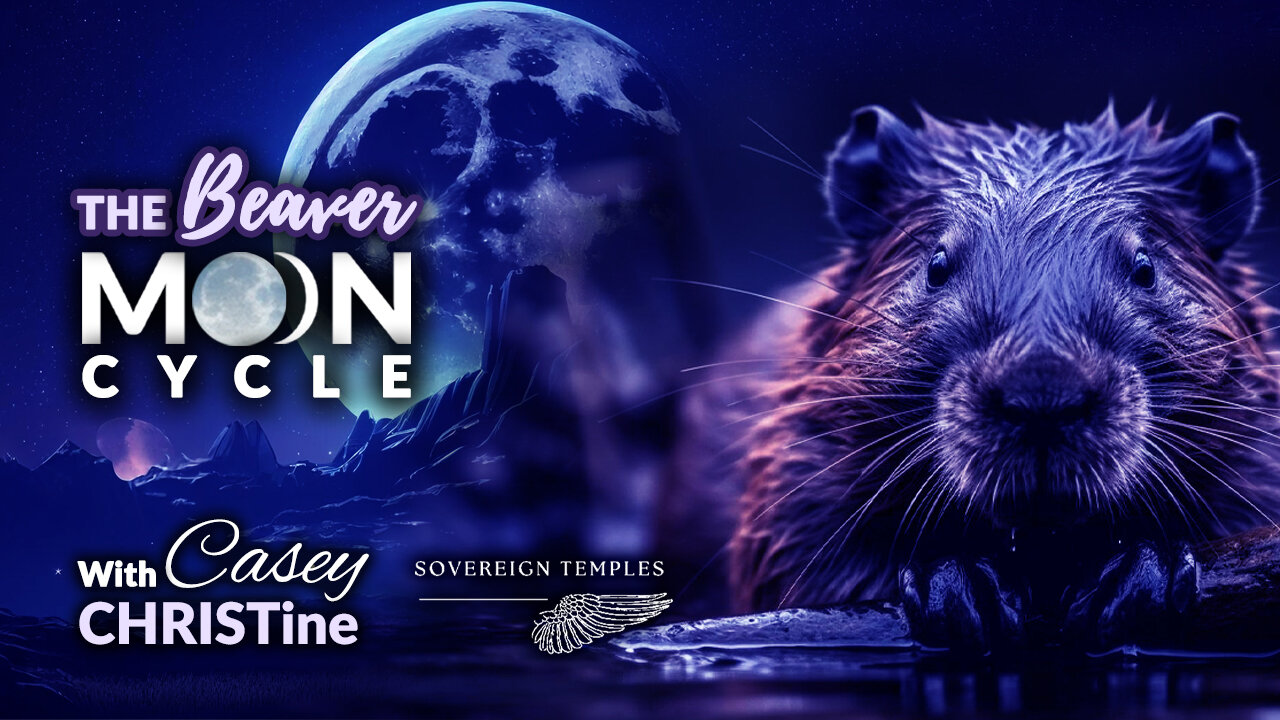 Beaver Moon Cycle November 13th-Dec 11th