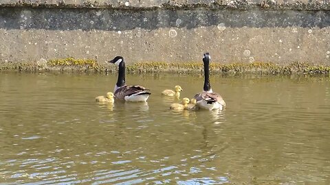 Yalding Kent