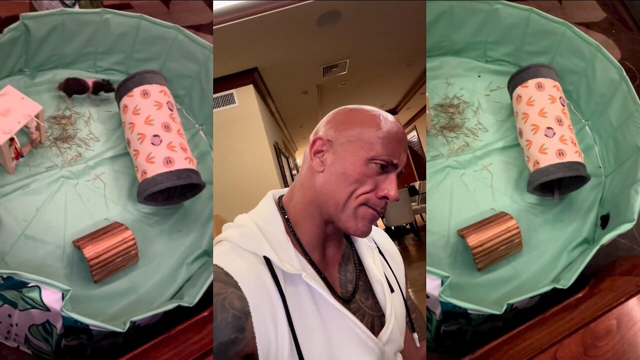 Dwayne Johnson's Family Surprises Him After 3-Day Trip