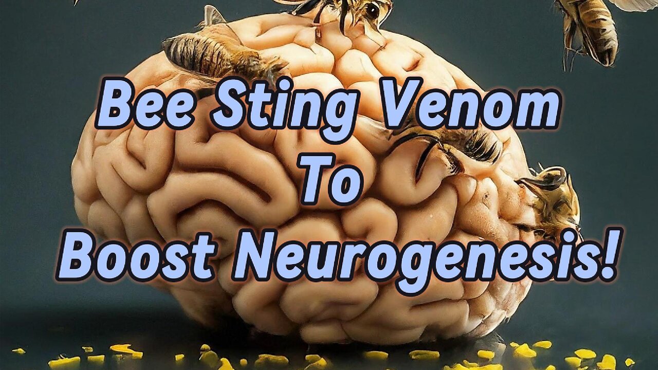 Stroke Treatment: Bee Sting Venom To Boost Neurogenesis