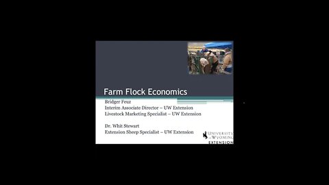 Farm Flock Economics (38)