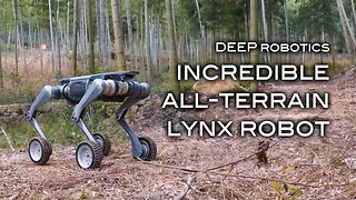 DEEP Robotics Incredible All-Terrain Lynx Robot