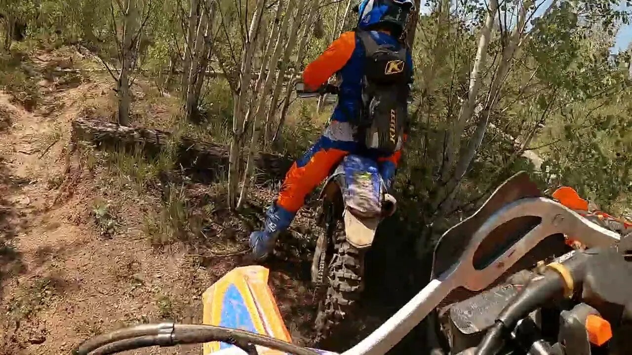 Riding with a bunch of squids in the woods!