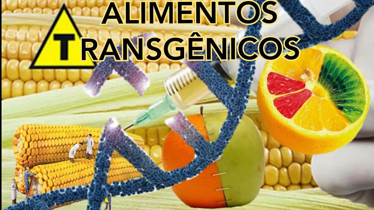 ALIMENTOS TRÅNSGÊNlCOS | VOCÊ SABIA?