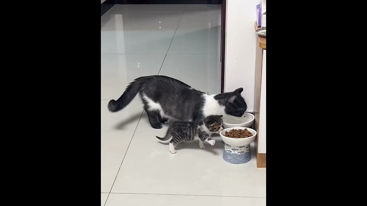 Cute baby cant reach food bowl