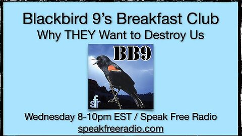 Why THEY Want to Destroy Us - Blackbird 9