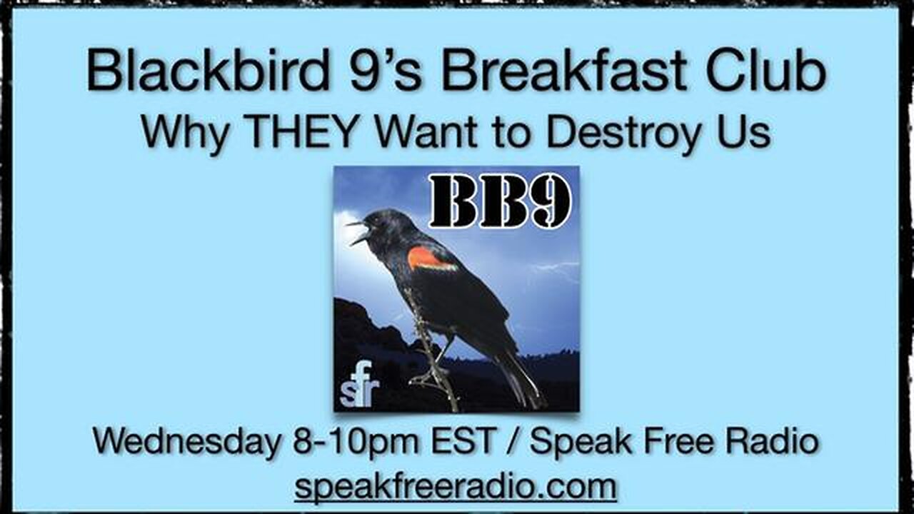 Why THEY Want to Destroy Us - Blackbird 9