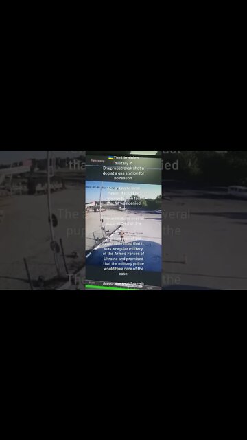 🇺🇦 Ukrainian Soldier In Dnepropetrovsk Shot A Pregnant Dog At A Gas Station For No Reason
