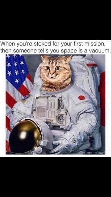 Space Cat! #memes #silly #funny #astronomy #astronaut #space #cat #vacuum