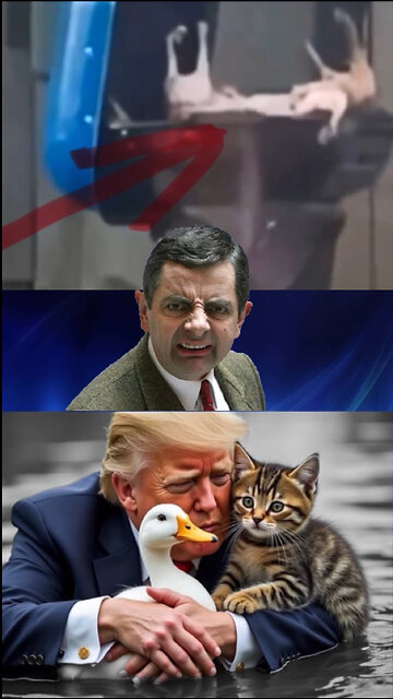 Barbecuing cats🤦‍♂️🤮🤯❌🥷☠️🚨