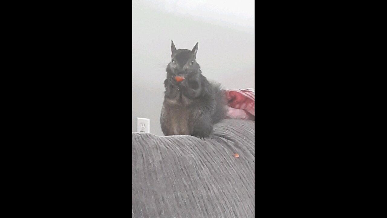 rip my friend