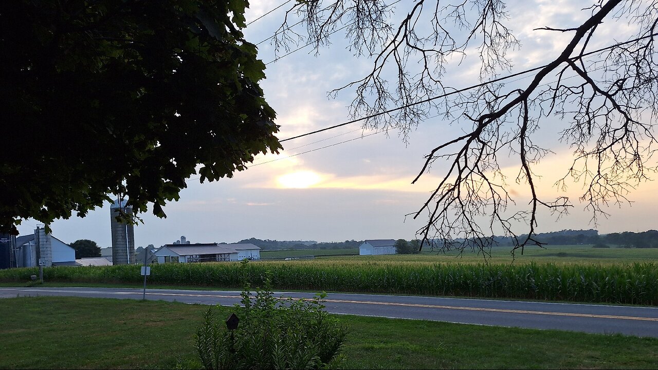 Good Morning!