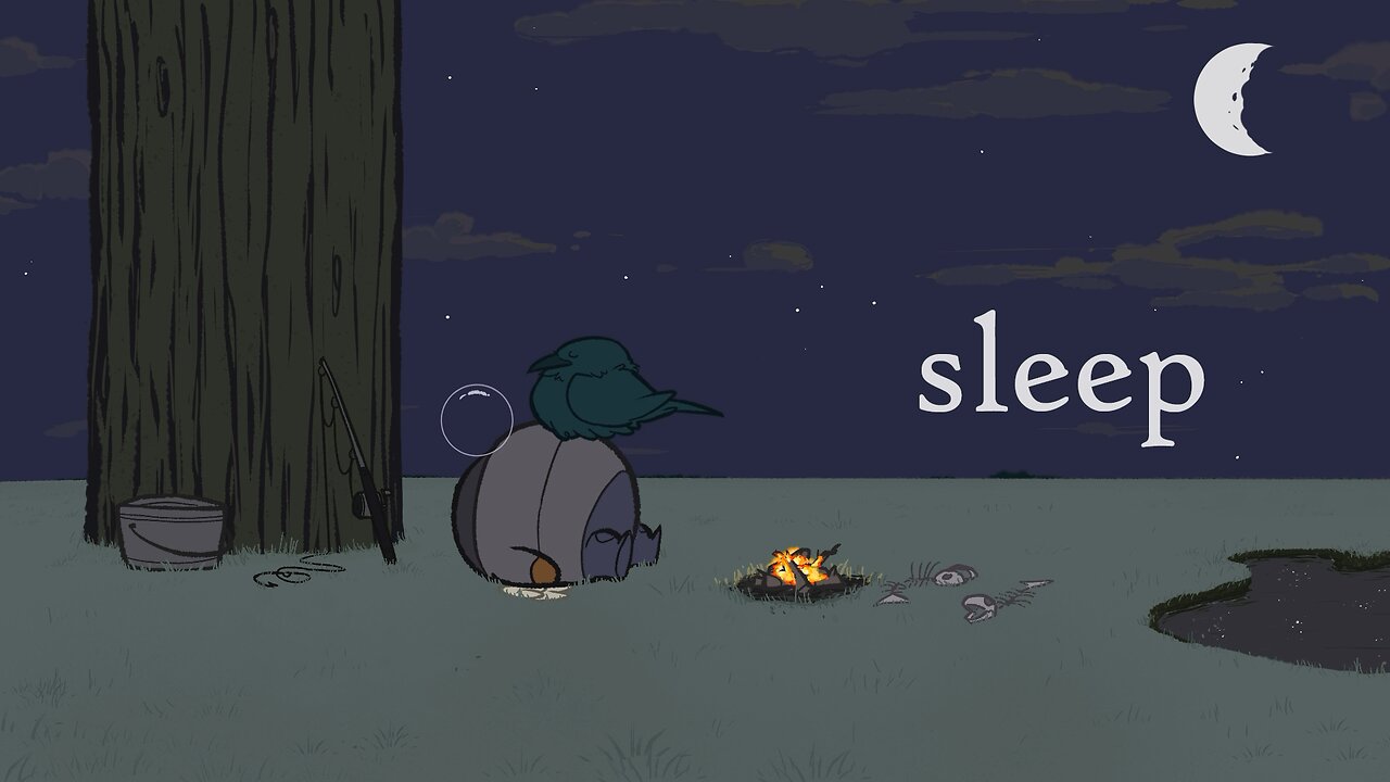 Sight Word: Sleep