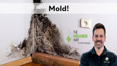 Mold!