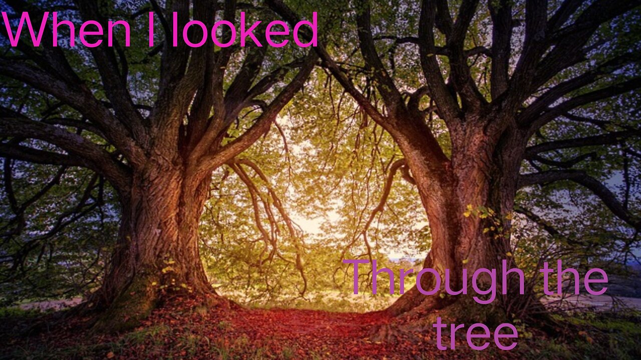 When I looked Through the tree