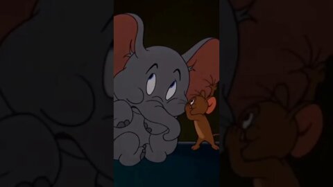 #TomandJerry cartoon video#cartoonvideo #Tom and Jerry#shortsfeed #ytshort #viralvideo #cartoon