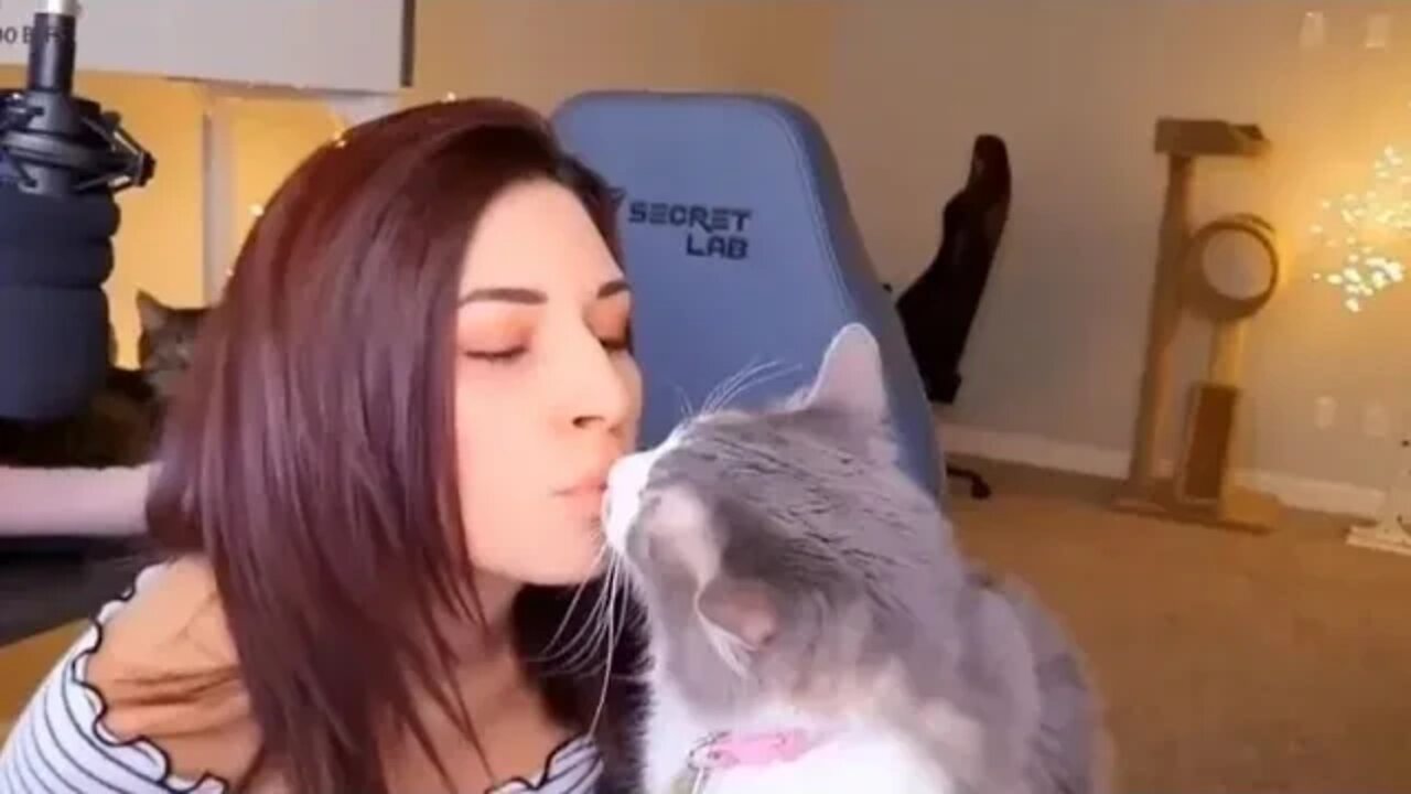 The Alinity Effect