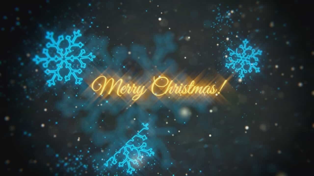 Merry Christmas from Barbara Brown, MSE