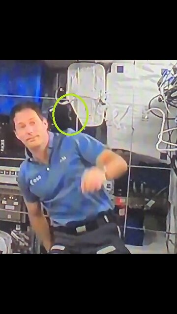 Harness Wire Over His Left Shoulder...