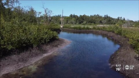 Cortez F.I.S.H. Preserve protects coastline amid developments