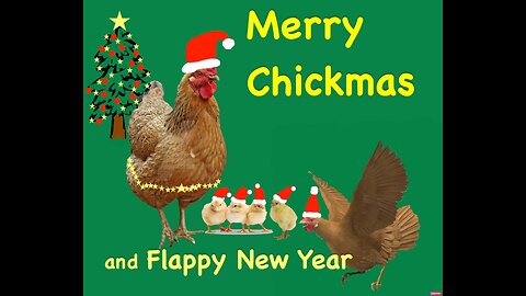 Merry Chickmas Card for Maureen (our local Chicken Farmer!)