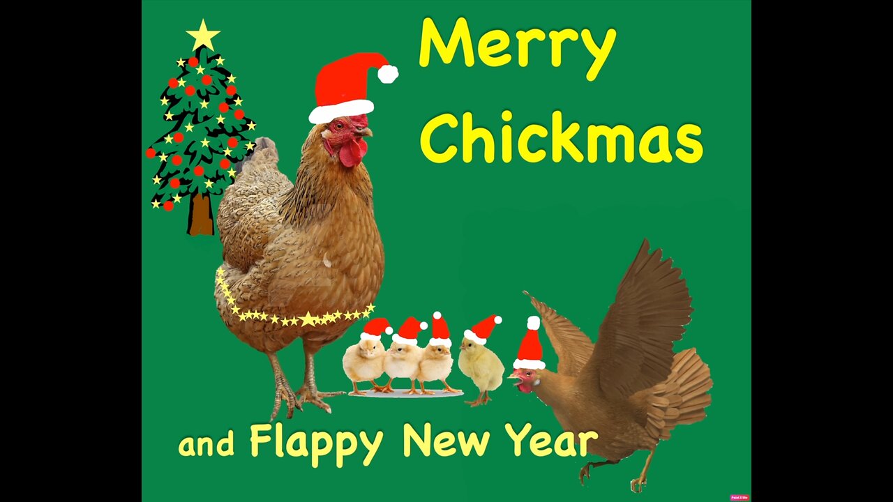 Merry Chickmas Card for Maureen (our local Chicken Farmer!)