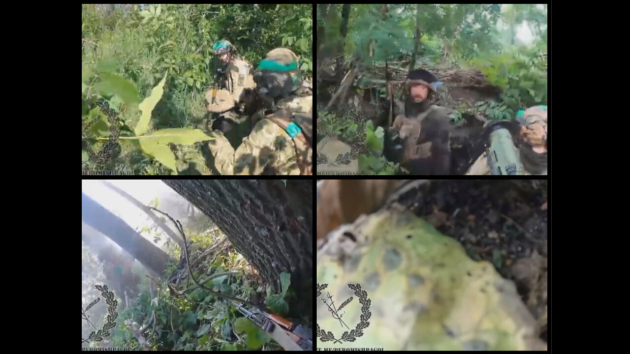 Svatovo-Kremennaya front: Rusian forces in an ambush destroyed the Ukrainian unit