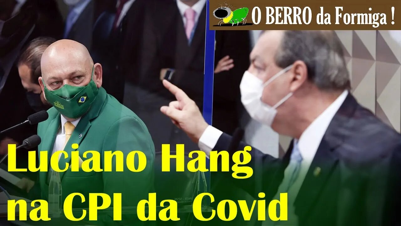 Resumo - Luciano Hang-Havan- na CPI da Covid