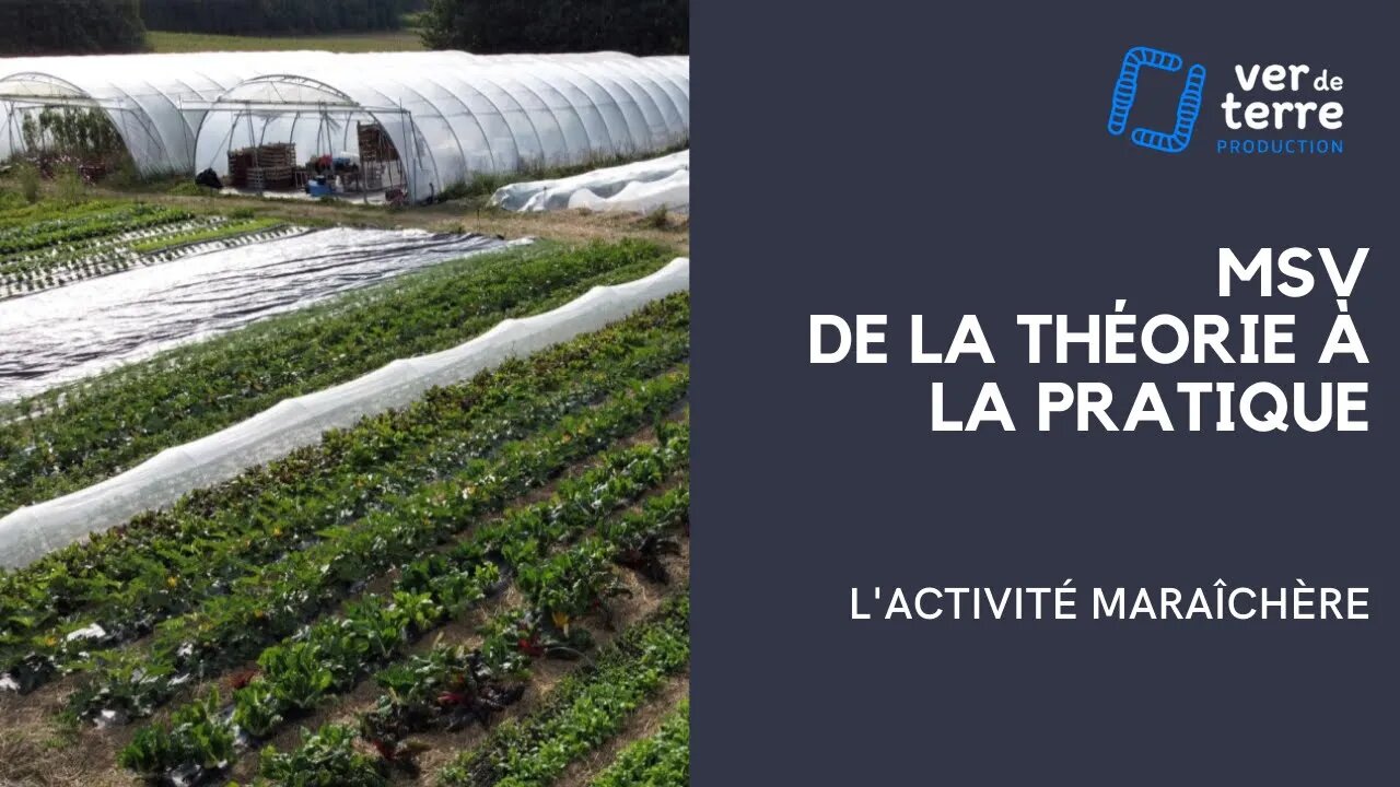 La Galerie du VDT - 10/10 - Le MSV de la théorie à la pratique : L'activité maraîchère