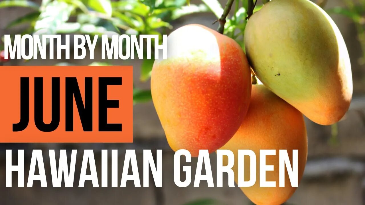 What To Do In The Month Of June In The Tropical Garden