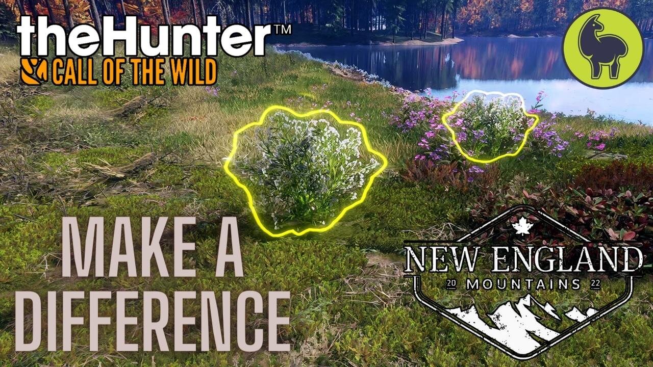 Make a Difference, New England Mountains | theHunter: Call of the Wild PS5