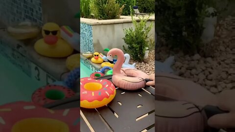 que talento incrível #shorts