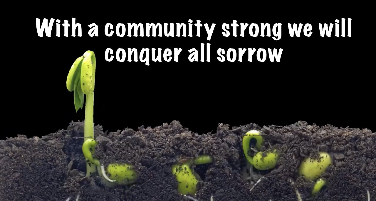 United in Pursuit of Tomorrow: An Ode to Communal Renaissance by MJ at DailyPlanet.Club