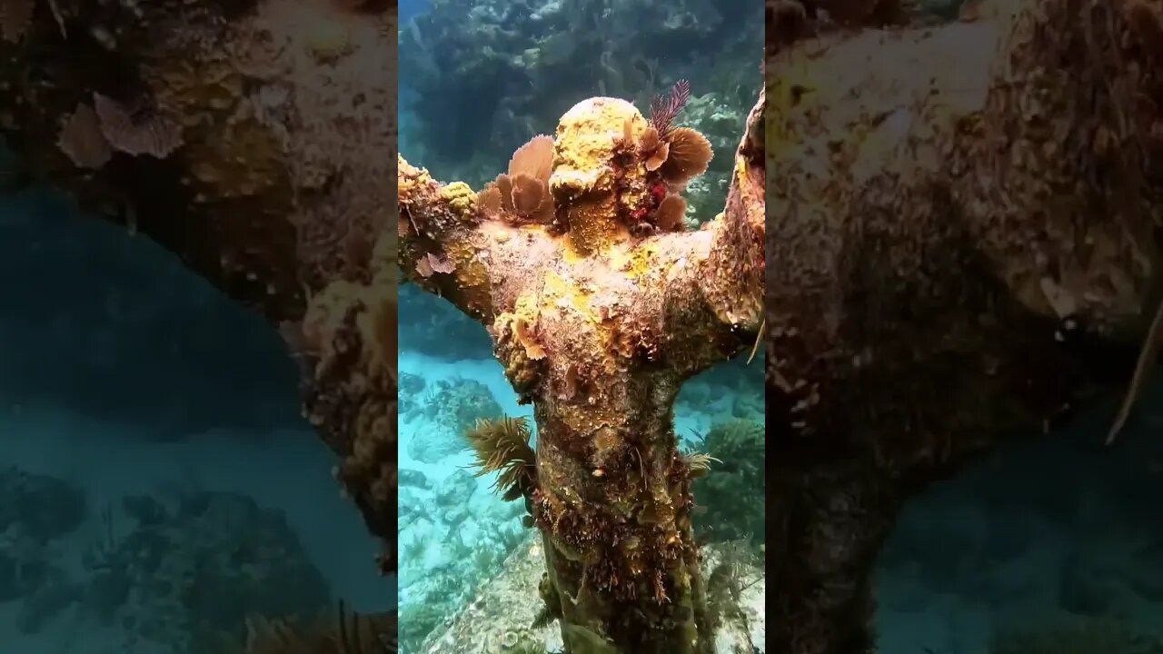 Underwater Prayer 🙏🏼 in the Florida Keys 🏝🙏🏼❤️ God Bless U 😃