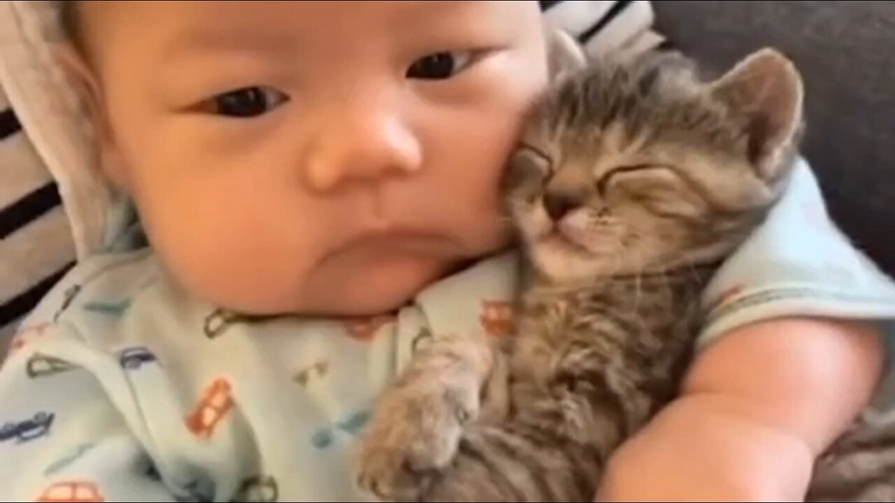 cute kid and cat