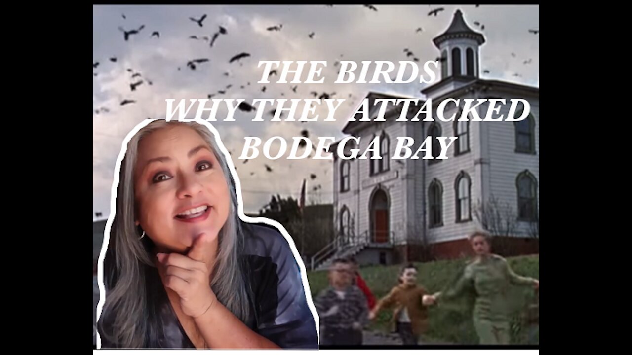 WHY DID "THE BIRDS" ATTACK?