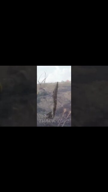 Breaking News (War-Related) #shorts