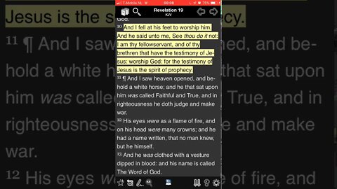 Who has the testimony of the Messiah?