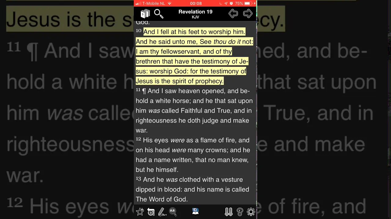 Who has the testimony of the Messiah?