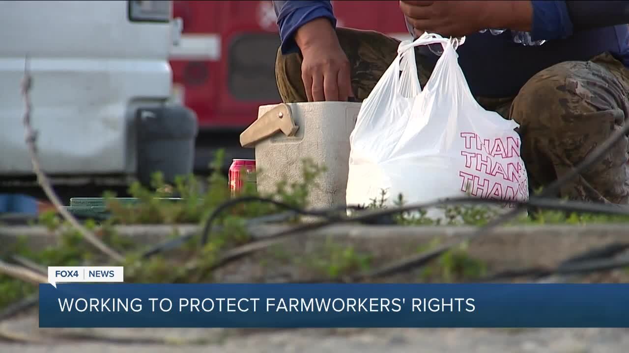 The Fair Food Program working to protect farmworkers' rights