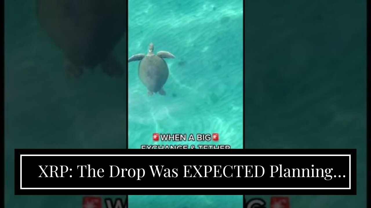 XRP: The Drop Was EXPECTED Planning FOR NEXT BULL MARKET