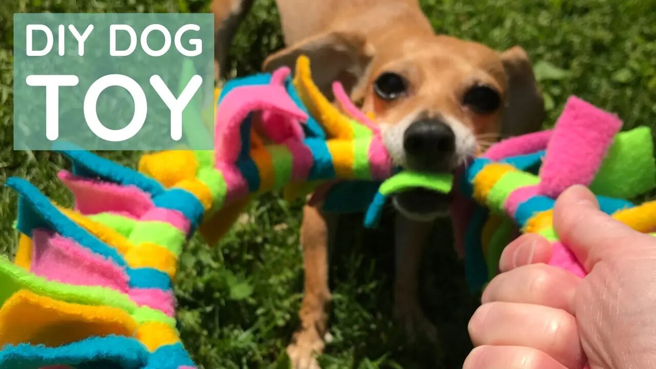 DIY Fringebee Dog Disc Toy