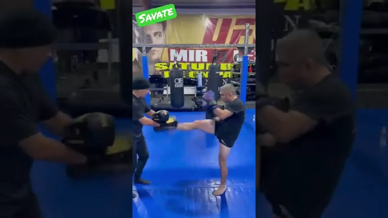 Working Savate on the Revgear Phoenix Mitts