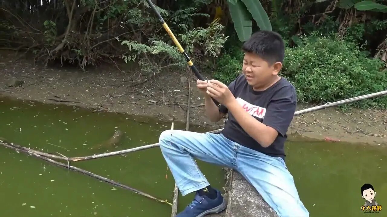 Village head fishing experience to catch, catch the upper pond horn /10