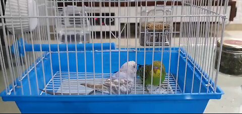 meet my new family members 😁