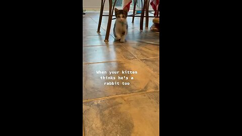 I need a kitchen sink she’s a rabbit to🤣