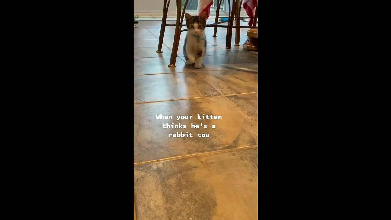 I need a kitchen sink she’s a rabbit to🤣