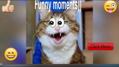 Funnyiest animal video indian