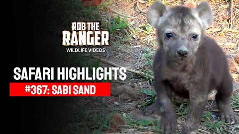 Safari Highlights #367: 29 Sep - 02 Oct 2015 | Sabi Sand Nature Reserve | Latest Wildlife Sightings