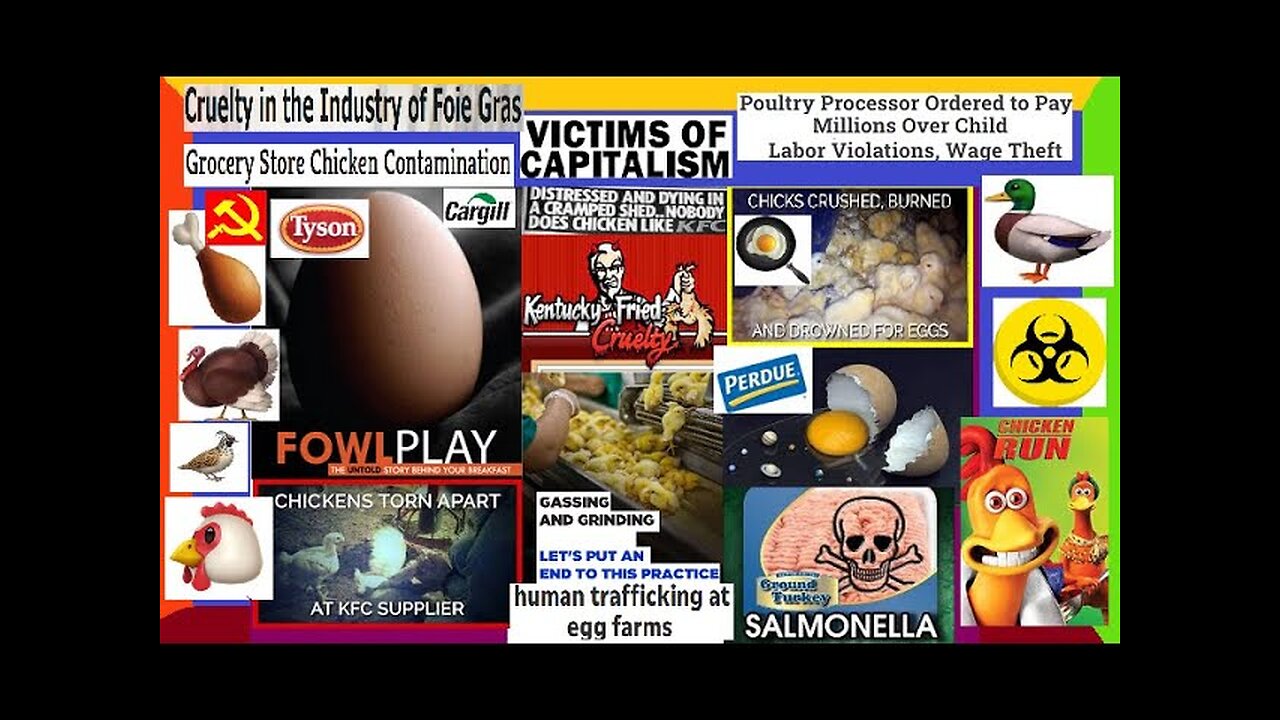 PURE EVIL The Bird, Eggs & Poultry Industry Files (DEEP-DIVE) Capitalism, Pollution, True Crime, ETC